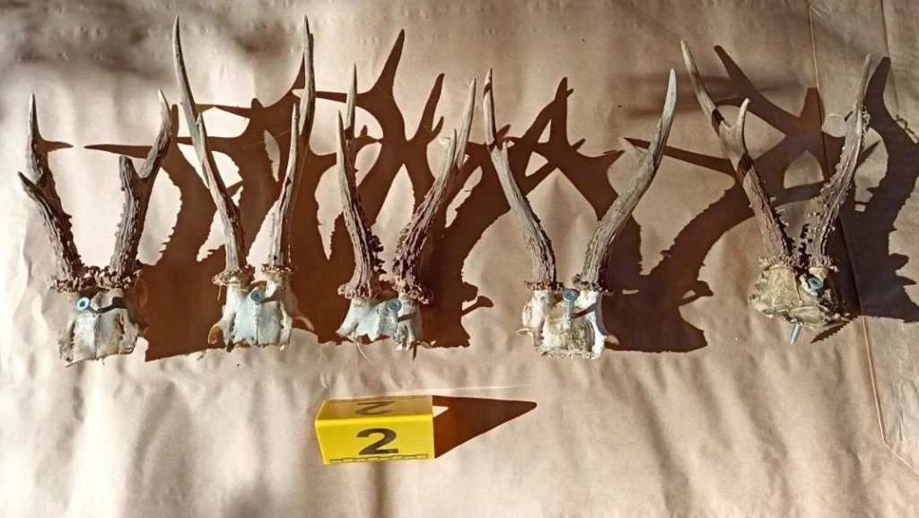 Uprava policije MUP TK-a - zbog krivolova izvršeno pretresanje na području Čelića