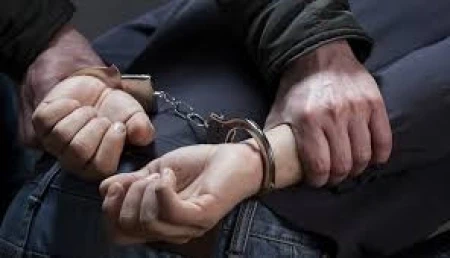 Uprava policije MUP TK-a - zbog navođenja na prostituciju lice iz Živinica lišeno slobode